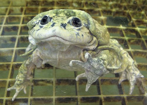 065b4d979b4a221eac38927a9edd1d41